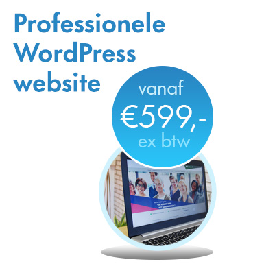 Een Professionele WordPress website vanaf €599 bij Studio Soes