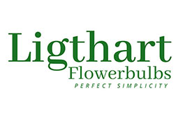 Ligthart Flowerbulbs - Perfect simplicity