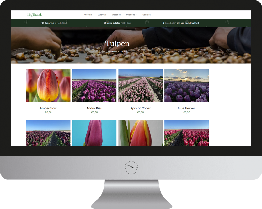WordPress ontwikkeling voor Ligthart Bloembollen